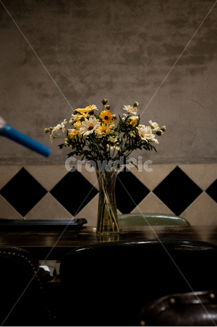 꽃,화분,카페,인테리어,맛집,핫플레이스,감성,flower,cafe,interior,plants,식물