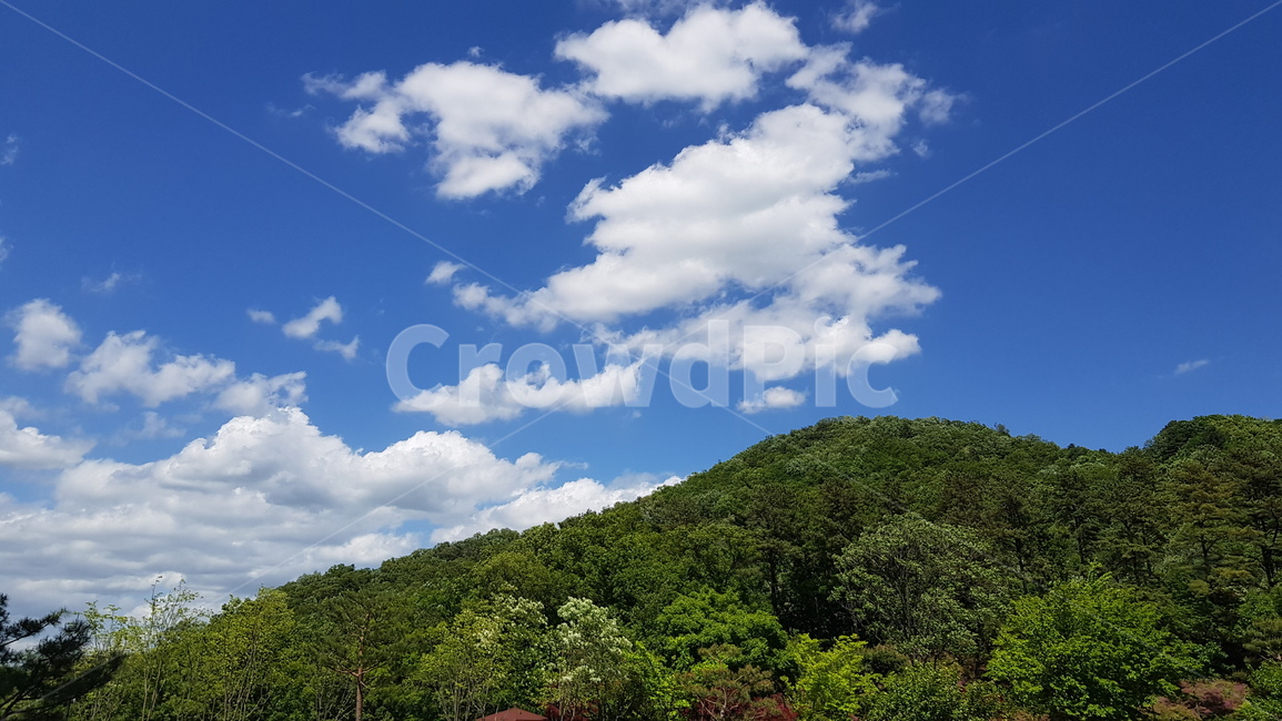 풍경,하늘,초여름산,우거진산,푸른하늘,여름,산,구름,cloud,자연