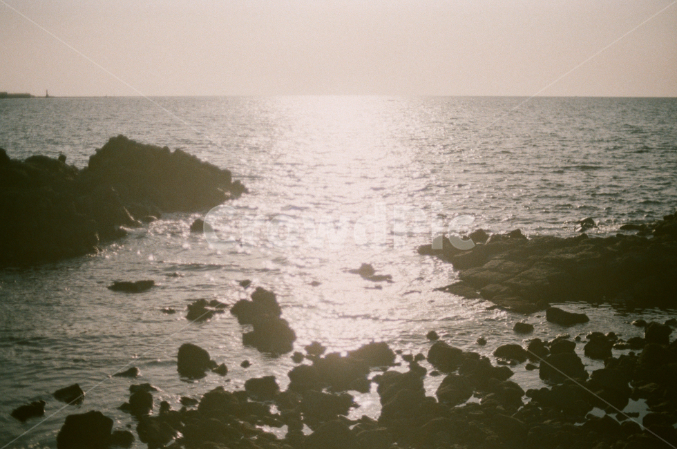 바다,제주도,제주,색감,자유,힐링,여름휴가,휴가,여름,자연,풍경,nature,landscape,vacation,jeju,jejuisland,필름,필름카메라,감성,감성사진,빛,light,예쁜,아름다운,색체