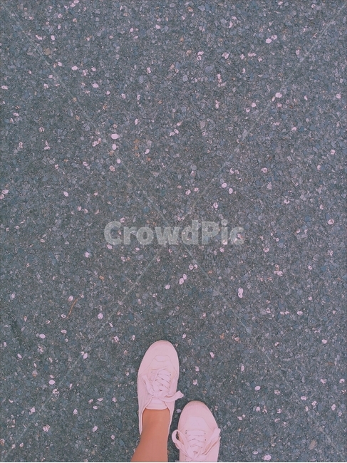 벚꽃,꽃잎,발,감성사진,봄,벚꽃잎,낙화,벚꽃엔딩,신발,감성