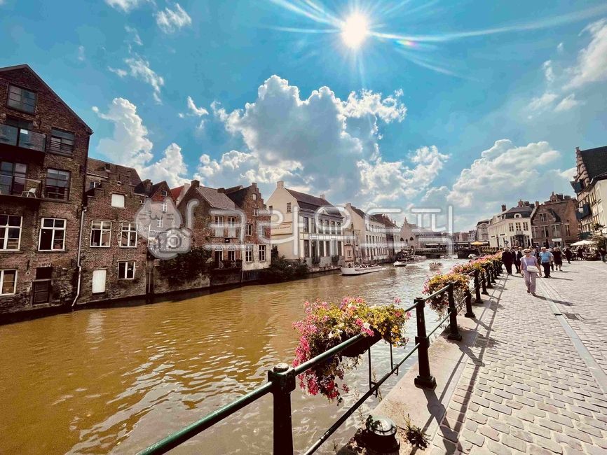 브뤼헤,겐트,유럽,벨기에,브뤼셀,자연,운하,풍경