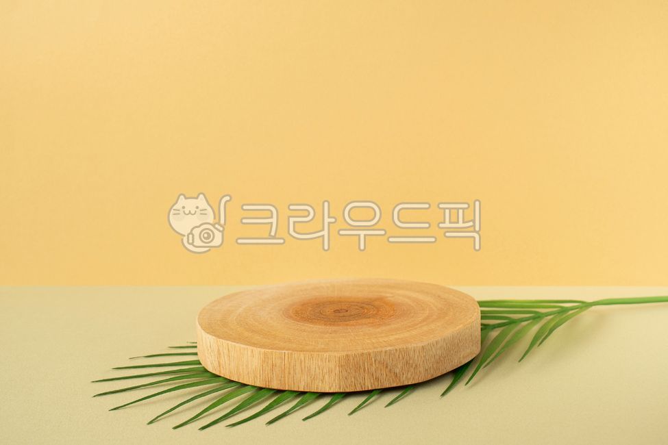 template,studio,pedestal,Fresh,award stand,horizontal composition,advertising,Flowers,Natural,space,empty,presentation,Leaves,interior decoration,Plant,award,Out of Focus,copy space,Tree,wood,stand,exhibition,Nature,Center,business,Branches,display,Closeu