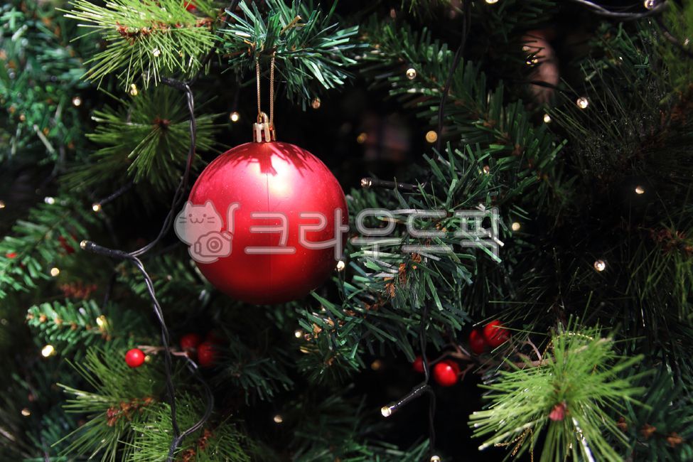 Christmas decoration,light bulb,Christmas,green,accessories,tree,egg bulb,tree decoration,ornaments,lighting,fir,sparkling,red,ball,ornament,Christmas background,shining,Christmas tree,conifer