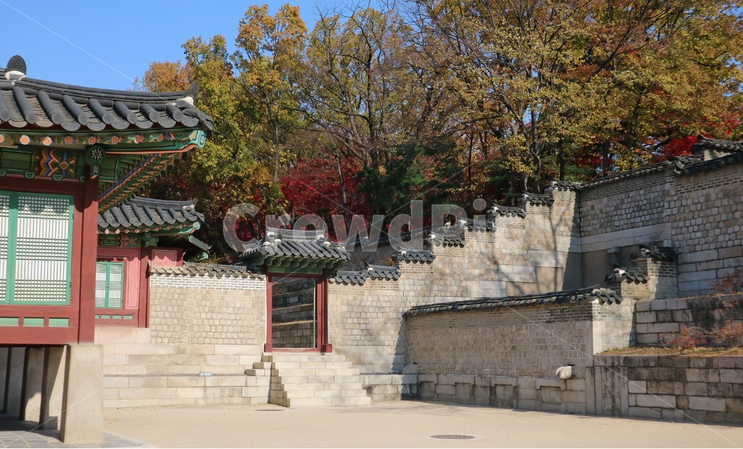 서울,창덕궁,궁궐,지붕,전통,풍경,한국전통,한국문화,korean traditional,korean culture,랜드마크,landmark,tourist attraction,한국랜드마크,한국관광지,한국명소,korea landmark,korea tourist attraction,건축물,건물외관,exterior,building,structure,architecture,construction