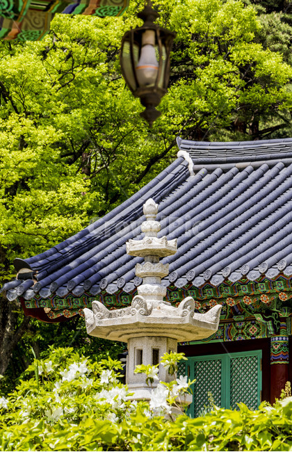 석탑,석등,수덕사,전통가옥,고건축,기와,지붕,관광지,문화재,불교