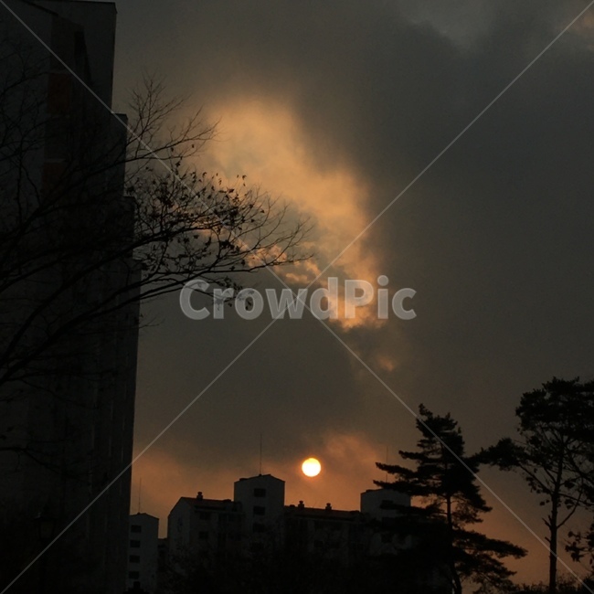 달,moon,나무,구름,구멍,감성