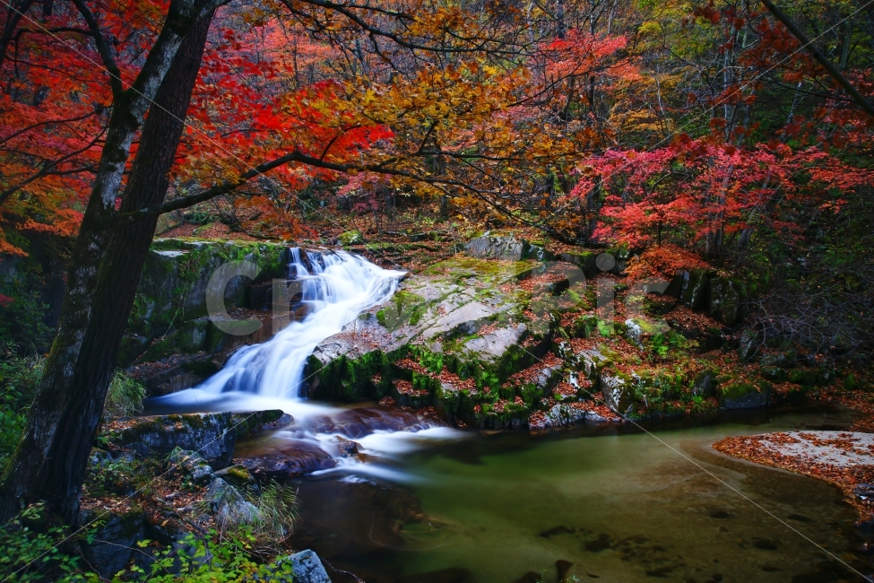 풍경,계곡,폭포,단풍,가을,자연,풍경,nature,landscape,가을,계절,fall,autumn,season,water,물,plant,식물,leaf,잎,outdoors,옥외,tree,나무