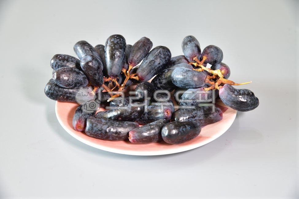 블랙사파이어포도,가지포도,블랙사파이어,포도,과일,열매,스위트