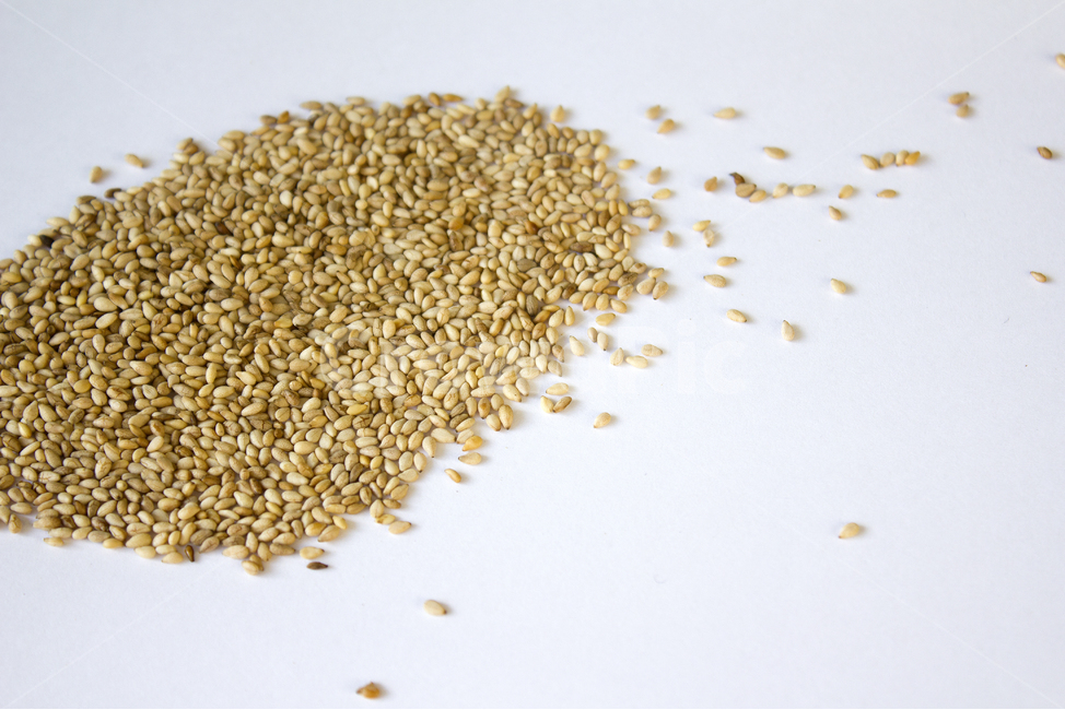 brown,closeup,dry,dummy,food,gold,grain,macro,meal,natural,nature,organic,plant,seed,seeds,sesame,sesameseed,sesameseeds,top,topangle,topview,yellow,깨,참깨,곡식,곡류,음식,음식재료,식재료,식물,씨앗,씨,갈색,브라운,말린,말리는,건조,자연,클로즈업,탑앵글,탑뷰,깨소금,농작물,농촌,농사,흰배경,음식,식재료,요리,food,cook,meal,dishes,food reserves,곡류,곡식,cereals