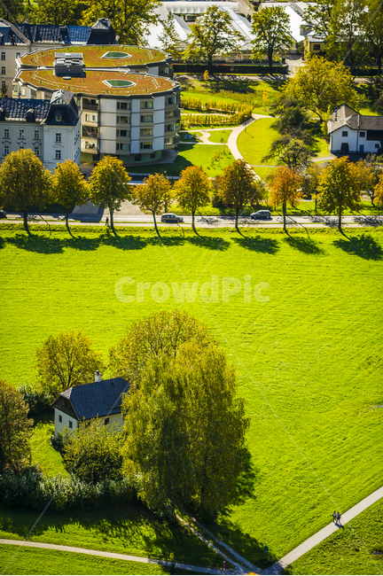 나무,자연,녹색,옥외,tree,잔디,공원,grass,nature,경치,그림자,풍경,outdoors,urban,마을,town,해외,외국,세계,foreign,oversea,world