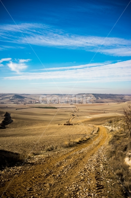 풍경,여행,유럽,스페인,산티아고순례길,배낭여행,spain,caminodesantiago,길,내리막길,굽이길,하늘,들판,자연,풍경,nature,landscape,해외,외국,세계,foreign,oversea,world,세계자연풍경,해외자연풍경,외국자연풍경,world nature landscape,dirt road,흙길,gravel,자갈,road,도로,ground,바닥,outdoors,옥외