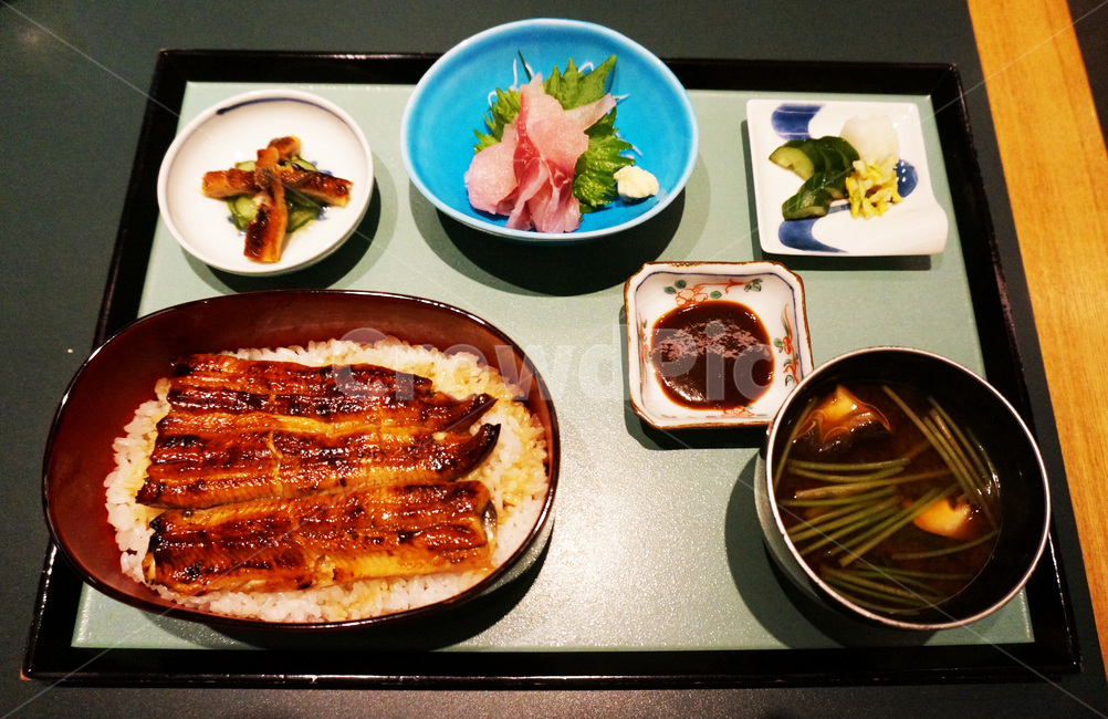 일본,음식,교토,장어,덮밥,음식,식재료,요리,food,cook,meal,dishes,food reserves,일식,일본음식,일본요리,Japanese food,Japanese dishes,Japanese meal,Japanese cook