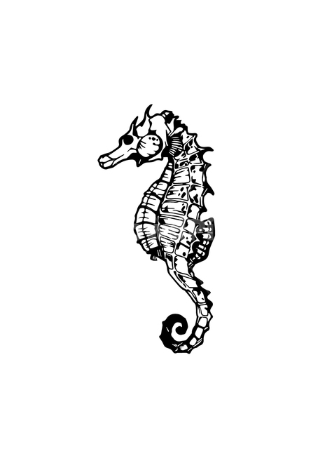 해마,동물일러스트,깔끔한그림,seahorse,선화,점박이해마,색칠공부,그래픽,일러스트레이션,graphic,illustration