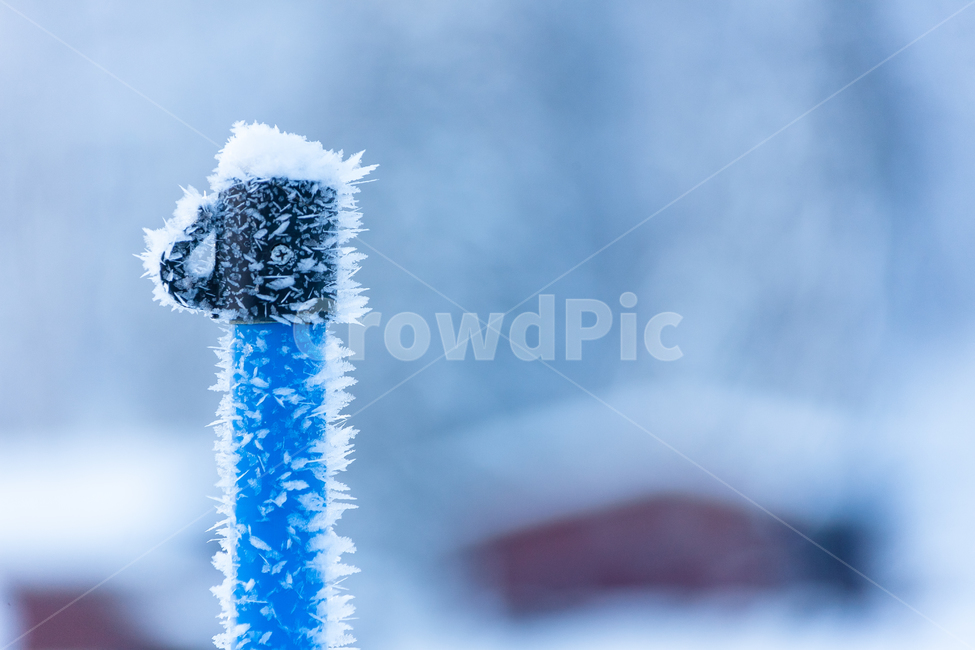 스위스,숲,하늘,눈,환경,얼음,겨울,날씨,산,겨울,계절,winter,season