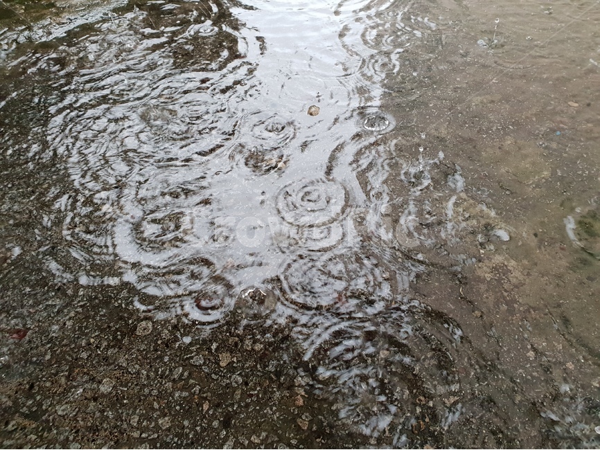 빗방울,물,빗물,패턴,배경,날씨,감정,비오는날,rain,raindrops,background,weather,pattern,비,비오는날,rain,rainy