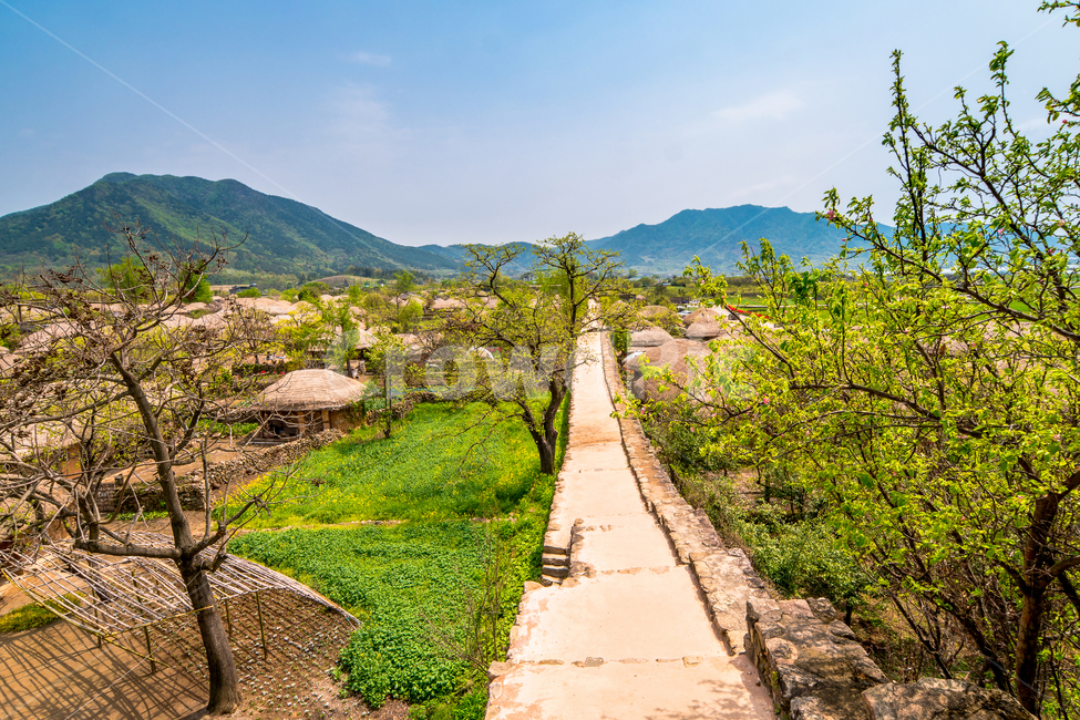 낙안민속마을,한국,봄,마을,초가집,전통,초록색,봄,계절,spring,season,시골,마을,풍경,landscape,country,rural,town,한국전통,한국문화,korean traditional,korean culture,path,통로,outdoors,옥외