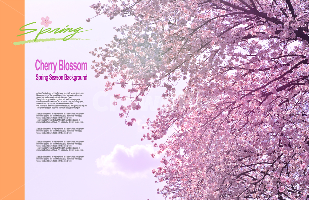 newsletter,cherry,pink,Cherry Blossom,Spring background,cherryblossom,sign,april,Spring Flower Festival,spring flowers,spring,season,graphic,gay,Cherry Blossom Festival,shear,Catalog,background,tree flower,leaflet,poster,frame