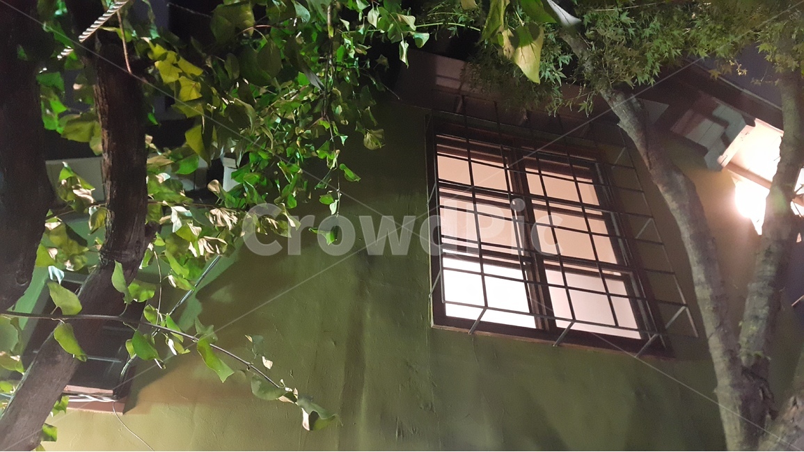 건물,창,나무,빛,유리,건축물,건물외관,exterior,building,structure,architecture,construction
