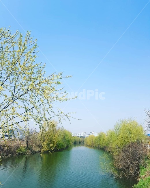 봄,푸르름,강,하늘,풍경,봄,계절,spring,season,자연,풍경,nature,landscape,outdoors,옥외,water,물