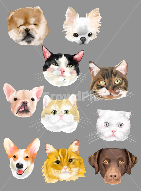 고양이,강아지,고양이일러스트,강아지일러스트,일러스트,dig,cat,dogillustration,catillustration,illustration