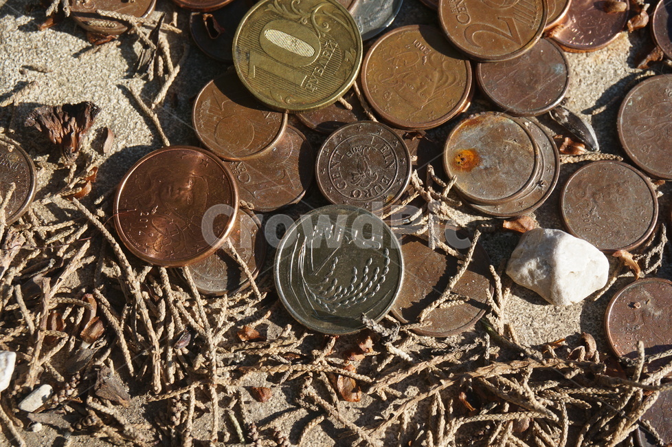 동전,세계동전,coin,오십원,circle,금융,돈,finance,banking,money