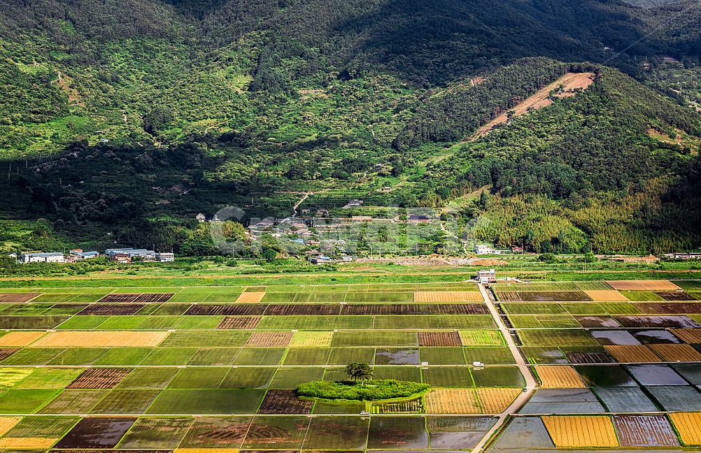 논,밭,부부송,시골,하동,자연,풍경,nature,landscape,한국자연풍경,한국자연경관,korea nature landscape,산업,industry,industrial,농업,농사,agriculture,farming,farming industry,outdoors,옥외,field,들,grassland,목초지