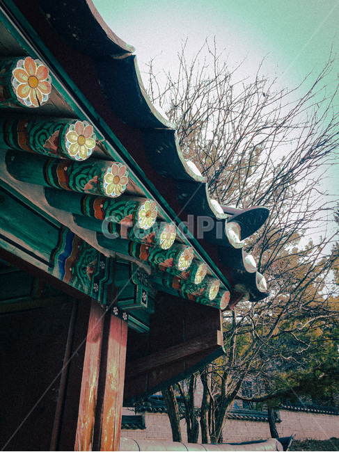기와,집,옛날집,건물,건축물,신전,architecture,building,temple