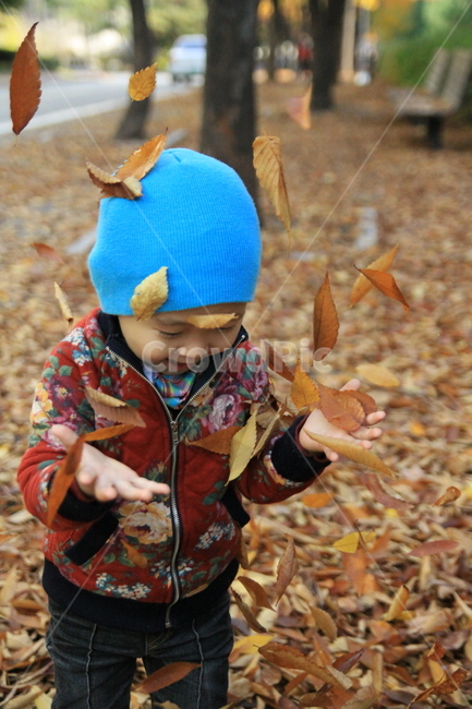 가을,의류,아이옷,낙엽,단풍,어린이,아이,가을,계절,fall,autumn,season,사람,인물,인간,human,person,어린이,어린아이,child,children,kid
