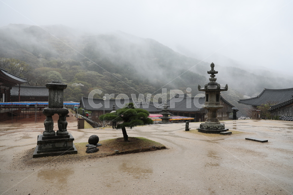 화엄사,사찰,전통가옥,절,우중,비,한국전통,한국문화,korean traditional,korean culture,종교,신앙,religion,belief,faith,비,비오는날,rain,rainy