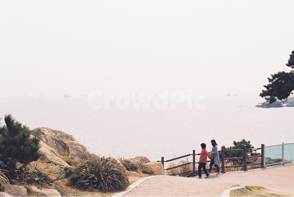 바다,해변,백사장,파도,바다산책