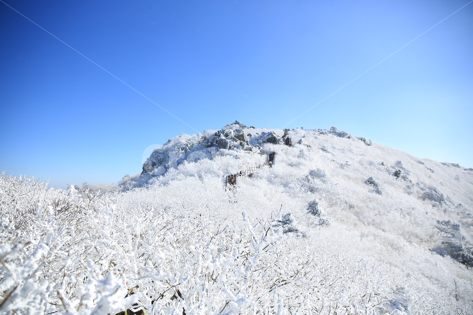 설원,상고대,덕유산겨울,동화나라,겨울산,겨울,계절,winter,season,자연,풍경,nature,landscape