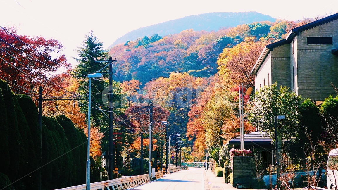가을,단풍,단풍나무,일본거리,하코네,일본,japan,hakone