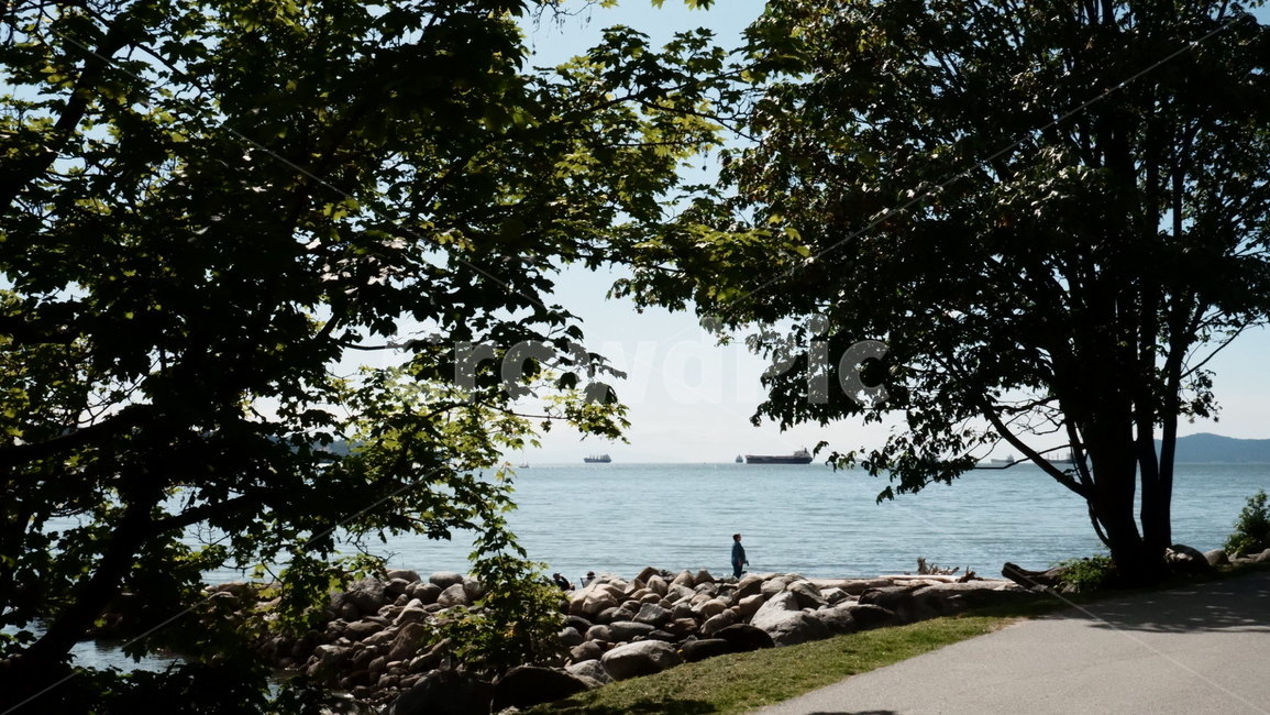 여름,바다,햇살,휴양,휴가,summer,beach,sunshine,vacation,필름,film,사색