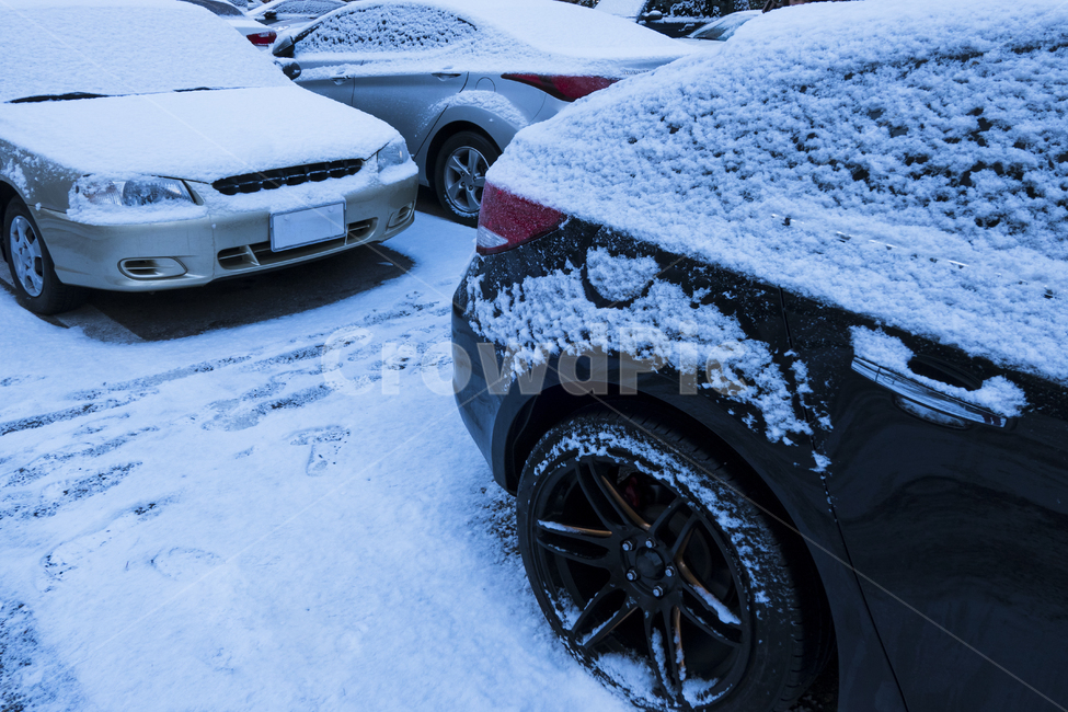 주차장,야외,자동차,차,승용차,눈,겨울,폭설,화이트,사이드미러,정렬,겨울,계절,winter,season,교통,교통수단,traffic,transportation,machine,기계,wheel,바퀴,car,vehicle,차량,automobile