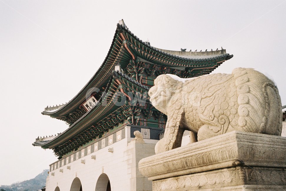 경복궁,서울,랜드마크,광화문,한옥,한국,전통,한국문화,예술,색감,기와,한국전통,한국문화,korean traditional,korean culture,랜드마크,landmark,tourist attraction,한국랜드마크,한국관광지,한국명소,korea landmark,korea tourist attraction,조각상,동상,석상,조형물,statue,bronze statue,stone statue,건축물,건물외관,exterior,building,structure,architecture,construction