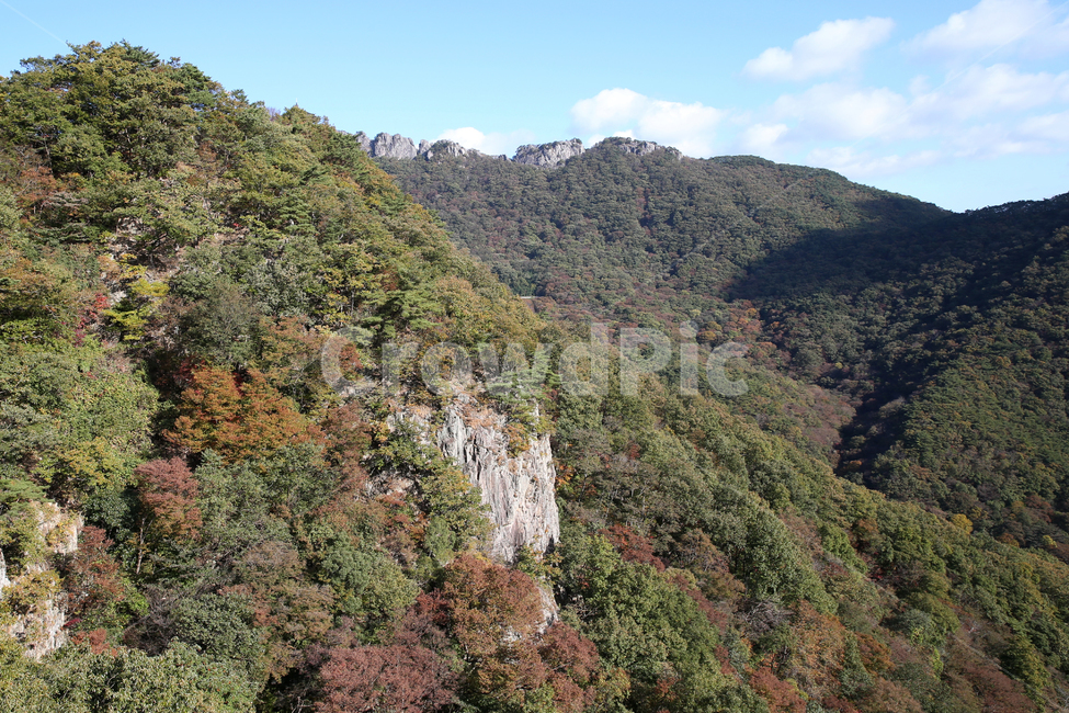 내장산,정읍,단풍,산,돌,자연,nature