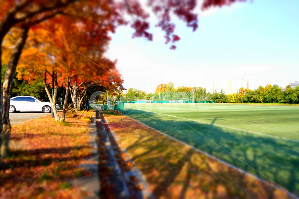 가을,운동장,토이샷,바탕화면,외로움