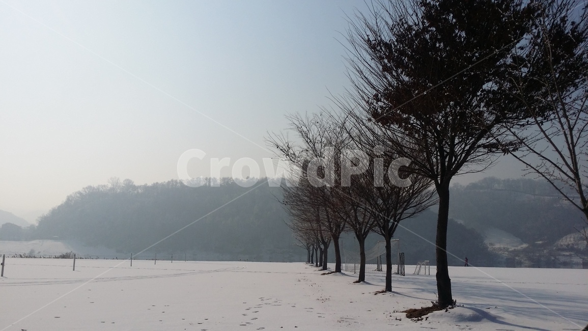 나무,설경,겨울풍경,겨울,snow,winter,tree,발자국,흰색,화이트,풍경,감성,겨울감성,겨울나무,눈,겨울,계절,winter,season,자연,풍경,nature,landscape,outdoors,옥외