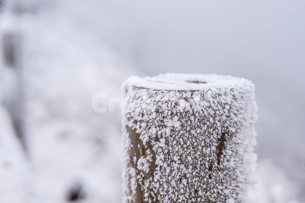 눈꽃,겨울풍경,풍경,자연,눈,겨울,감성,snow,winter,nature,landscape,mountain,tree,겨울,계절,winter,season
