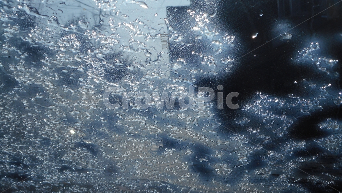 눈,성에,겨울,빛,눈결정,일상,감성,snow,winter,겨울,계절,winter,season