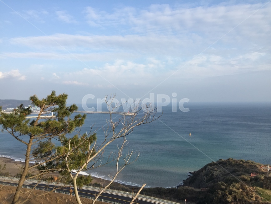바다,자연,나무,제주도,풍경,자연,풍경,nature,landscape,promontory,곶,outdoors,옥외
