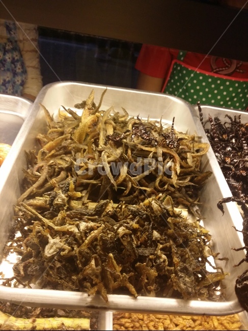 요리,도마뱀,튀김,태국요리,food,음식,음식,식재료,요리,food,cook,meal,dishes,food reserves