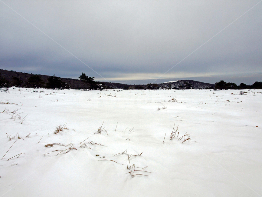 어리목,제주도,한라산,설경,겨울산,눈,등산,설화,겨울,계절,winter,season,자연,풍경,nature,landscape,outdoors,옥외