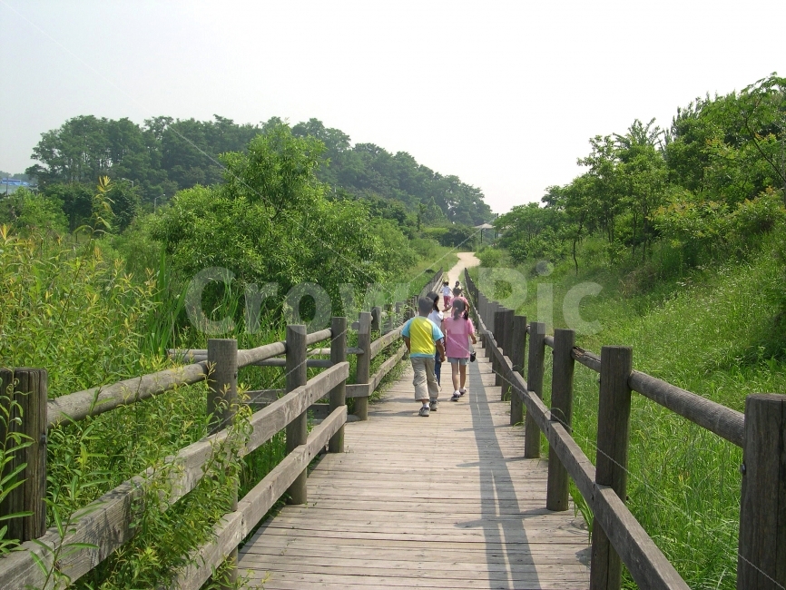 숲,숲길,길,어린이,사람,산책,산책로,자연,나무,wood,nature,동심,child,교육,자연,풍경,nature,landscape,여름,계절,summer,season,여행,휴가,traveling,vacation,trip,사람,인물,인간,human,person,boardwalk,building,건물,bridge,다리,railing,난간