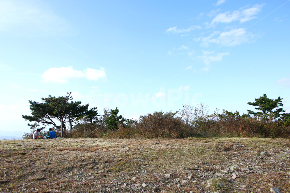 식물,갈대,억새,승학산,구름,자연,휴식,정상,자연,풍경,nature,landscape