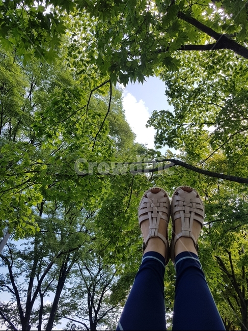 발,다리,초록,하늘,나무
