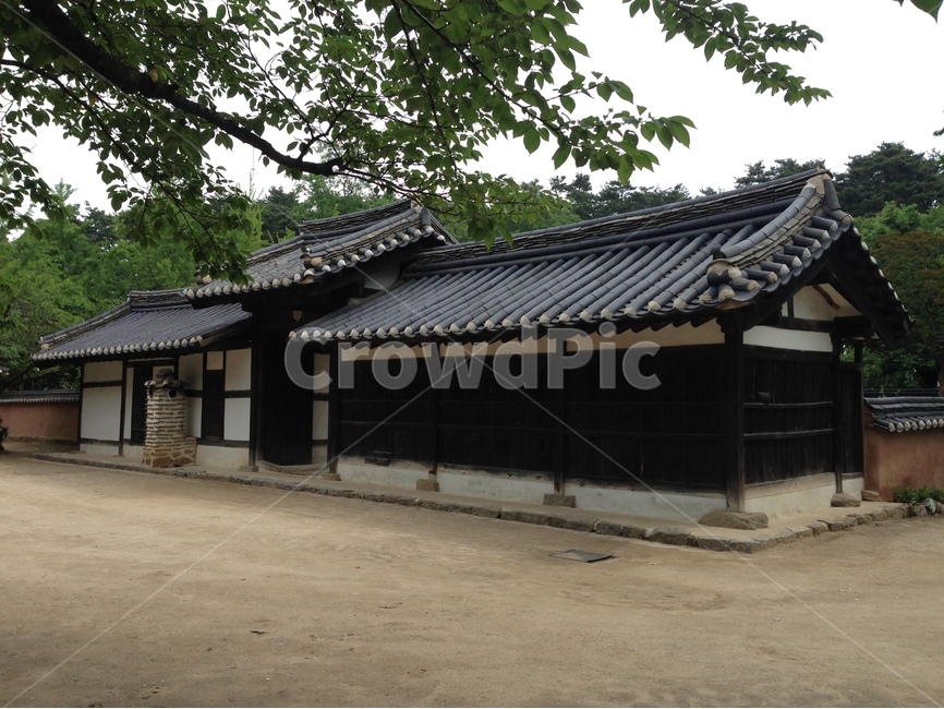 허난설헌생가,허난설헌,허균생가,허균,목조건축,고택,건축,한옥,기와,담장,강릉,대한민국,한국,heonanseolheonsbirthplace,heonanseolheon,heogyunsbirthplace,heogyun,woodenarchitecture,oldhouse,architecture,hanok,rooftile,wall,gangneung,republicofkorea,southkorea,한국전통,한국문화,korean traditional,korean culture,건축물,건물외관,exterior,building,structure,architecture,construction