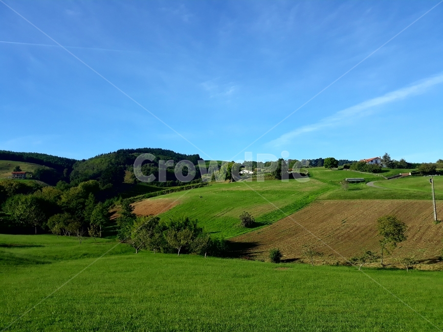 nature,자연,field,들,outdoors,목초지,grassland,옥외,산티아고순례길,스페인,풍경,시골,countryside,자연,풍경,nature,landscape