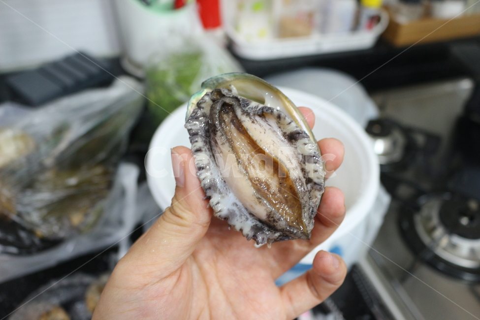 문어,낙지,해신탕,전복,황제탕,수산물,해산물,fishery products,seafood