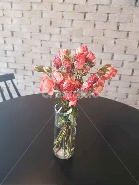 꽃,꽃병,장미,인테리어,테이블,꽃,flower,실내용화초,화분,화초,house plant